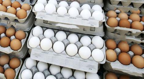 قیمت تخم مرغ از ۵ هزار تومان عبور کرد!