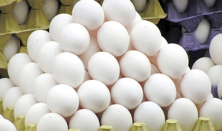 بازار کشور به ۱.۱ میلیون تن تخم مرغ نیاز دارد!